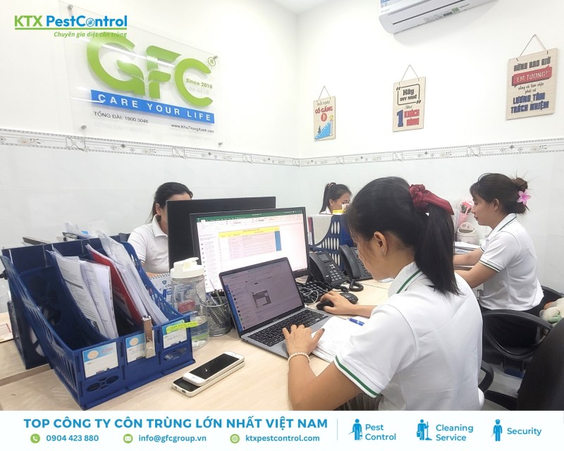 Dịch vụ diệt mối huyện Sóc Sơn uy tín và tận gốc