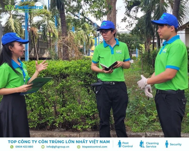 Kỹ thuật viên khảo sát, xác định loại mối, mức độ và đề xuất phương án xử lý kèm báo giá