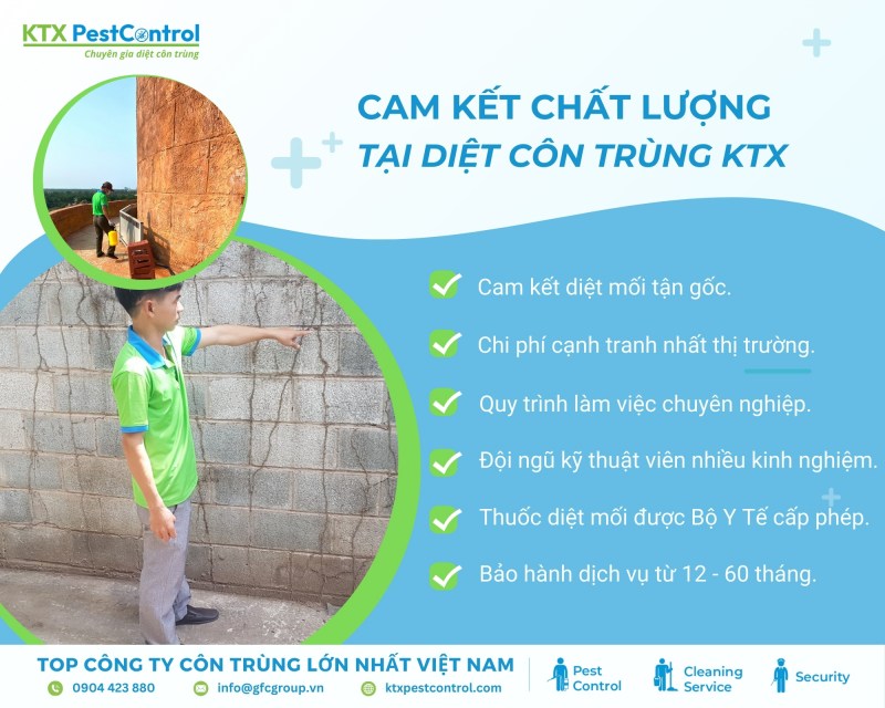 KTX cam kết diệt mối tận gốc, đúng quy trình, bảo hành dài hạn tại quận Ba Đình