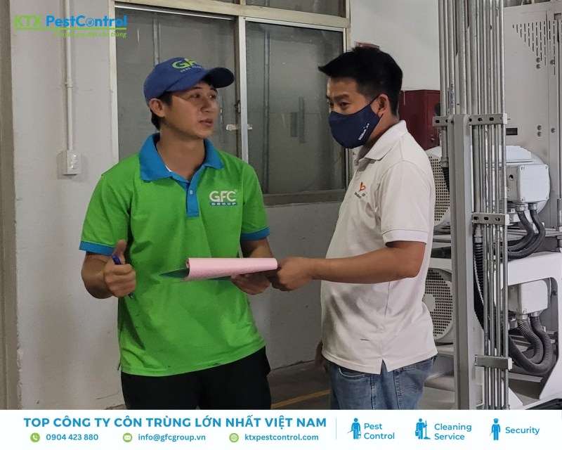 Kỹ thuật viên khảo sát thực tế, xác định mức độ mối và đề xuất phương án xử lý kèm báo giá