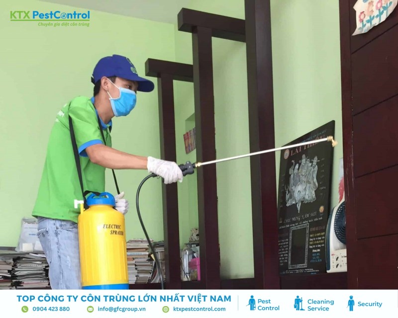 Dịch vụ diệt mối quận Ba Đình uy tín, chuyên nghiệp