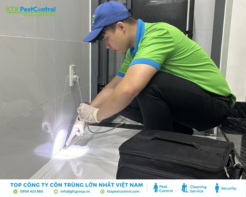 Dịch vụ diệt mối quận Hoàng Mai nhanh chóng, giá rẻ