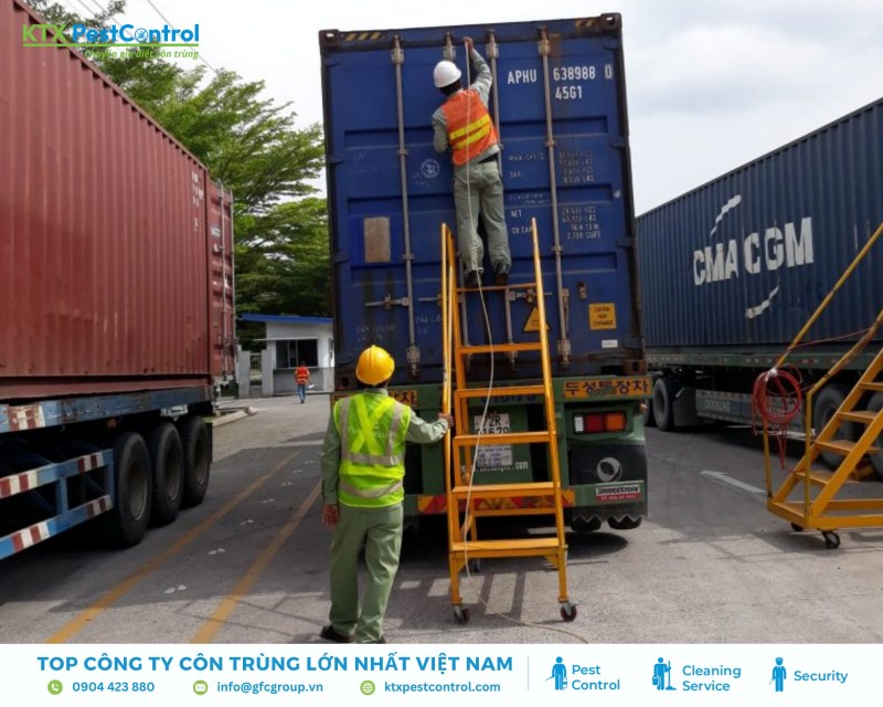 Kỹ thuật viên tiến hành hun trùng pallet gỗ