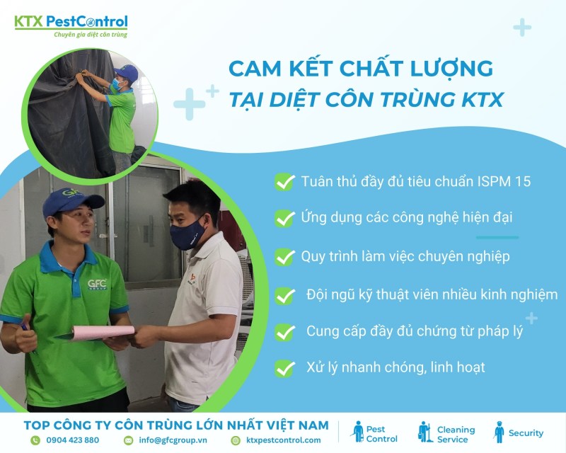 Tại sao chọn chúng tôi
