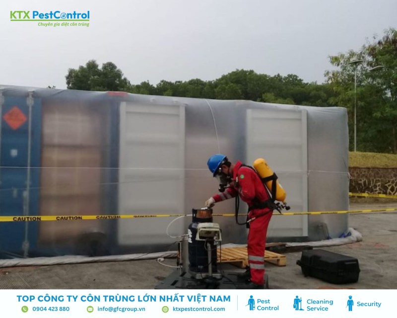 Hun trùng pallet gỗ giúp đáp ứng kiểm dịch, ngăn hư hỏng và tránh bị từ chối nhập khẩu