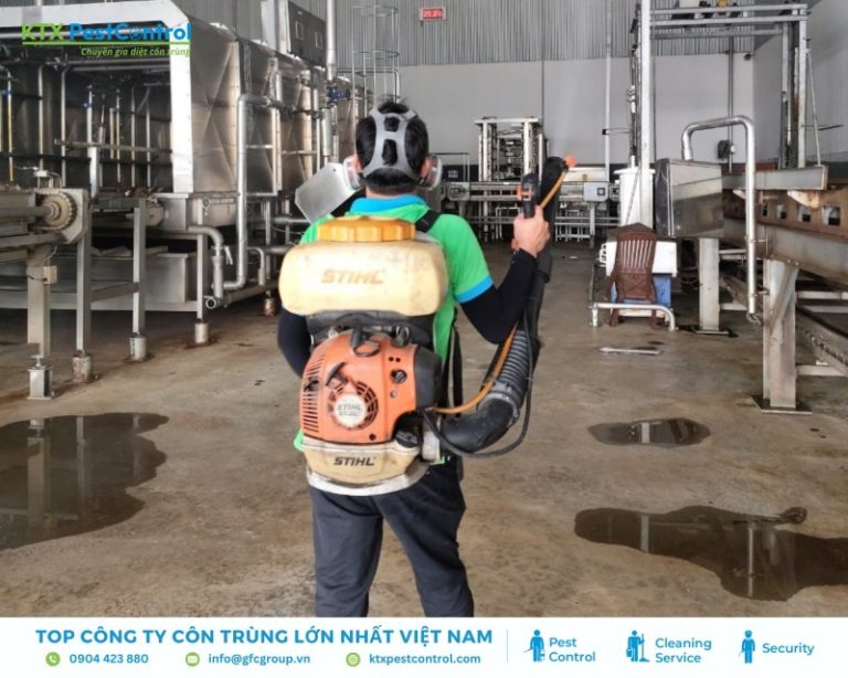 Phun thuốc diệt muỗi tại Hà Nội uy tín và chuyên nghiệp