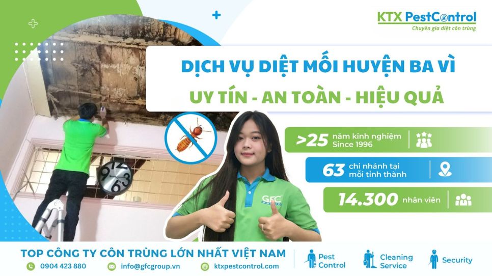 Dịch vụ diệt mối huyện Ba Vì uy tín, an toàn và hiệu quả