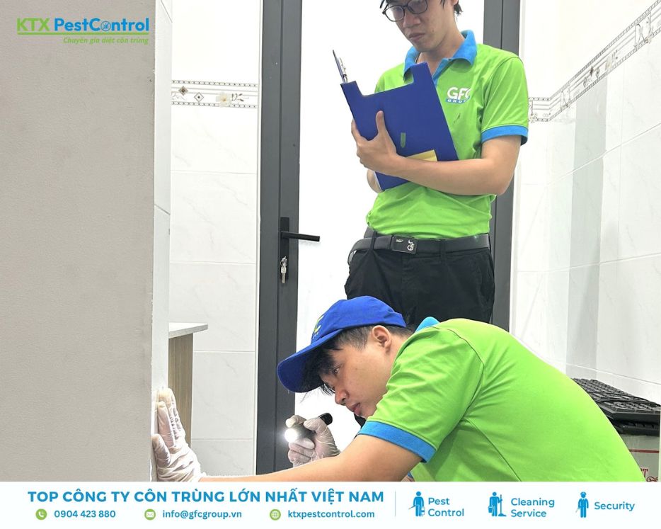 Nhân viên dịch vụ diệt mối huyện Ba Vì kiểm tra tổ mối