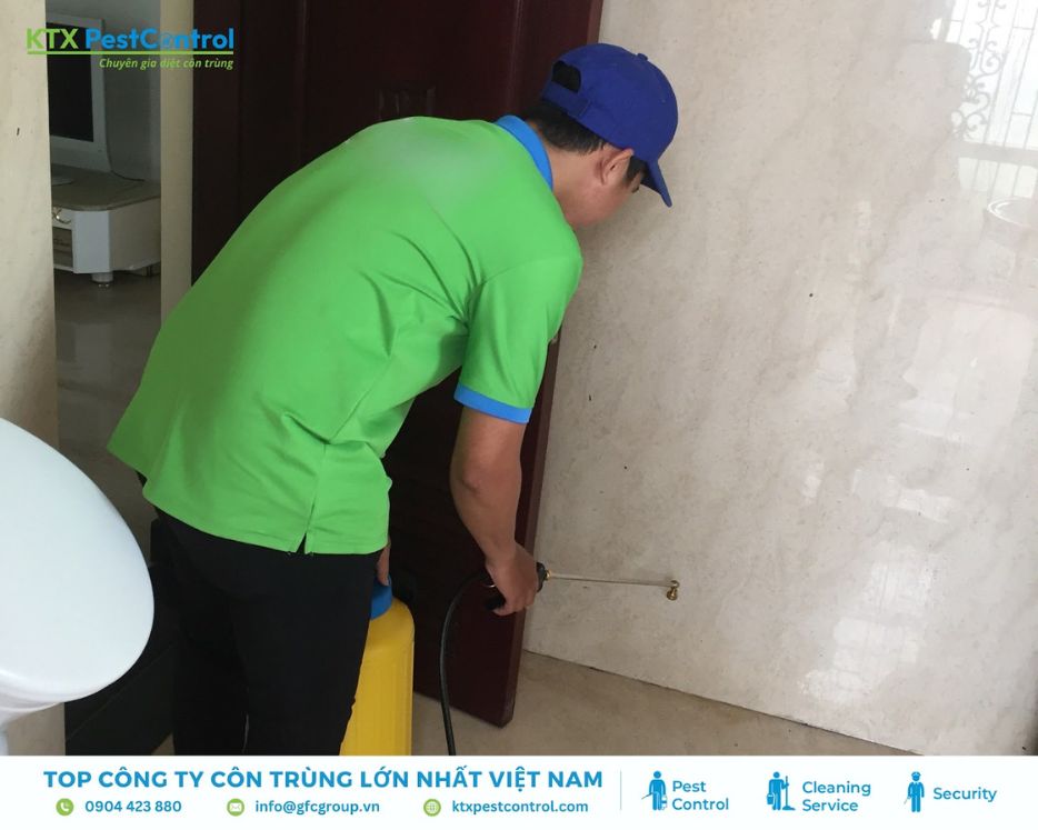 Dịch vụ diệt mối huyện Ba Vì - phun thuốc phòng mối