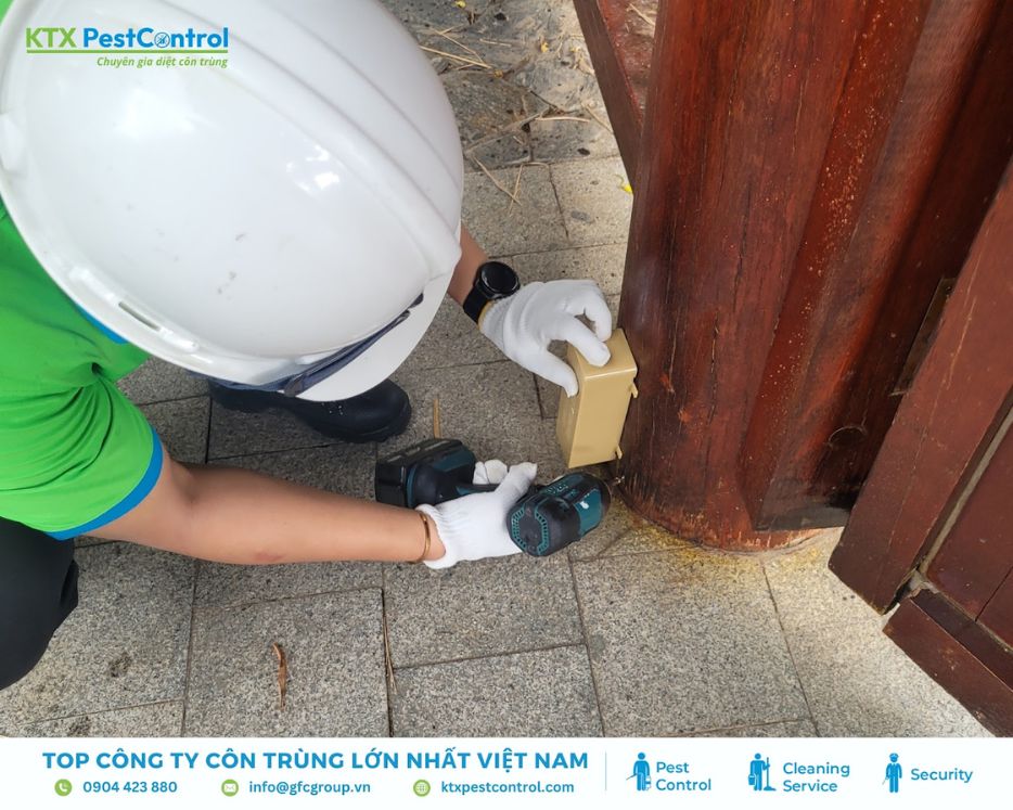 Lắp đặt hộp mồi nhử mối tại chân cột gỗ ngoài trời