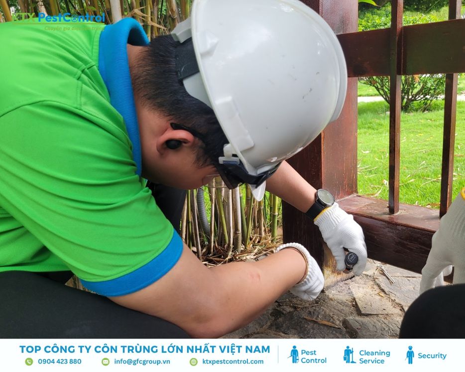 Kỹ thuật viên KTX PestControl xử lý mối khu vực ngoài trời tại huyện Ba Vì