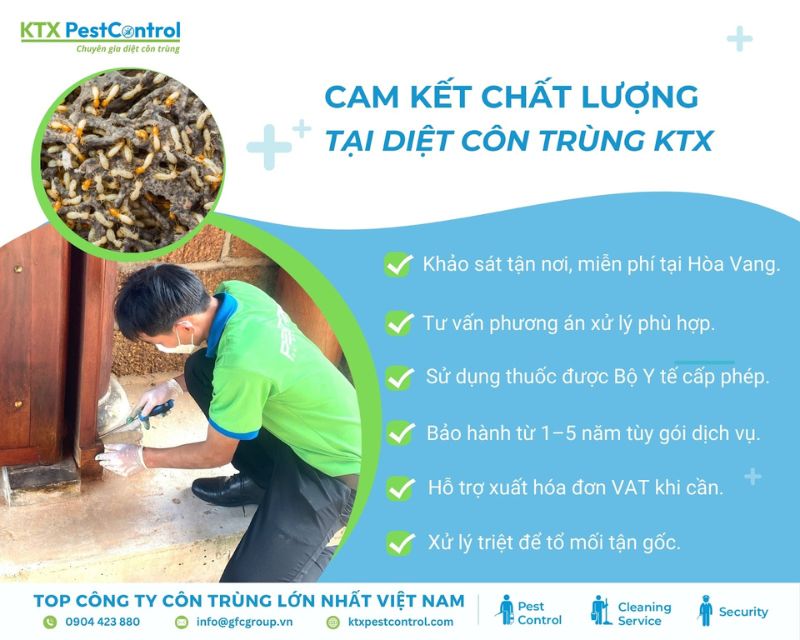 Dịch vụ diệt mối huyện Hoà Vang xử lý tận gốc