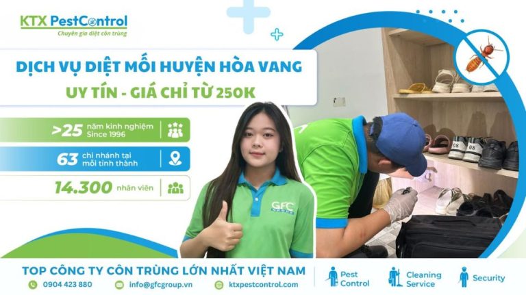 Dịch vụ diệt mối huyện Hòa Vang uy tín, giá chỉ từ 250K