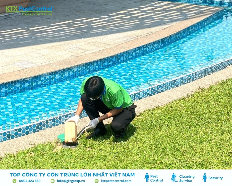 Nhân viên KTX Pest Control xử lý tổ mối gần khu vực hồ bơi trong khuôn viên biệt thự