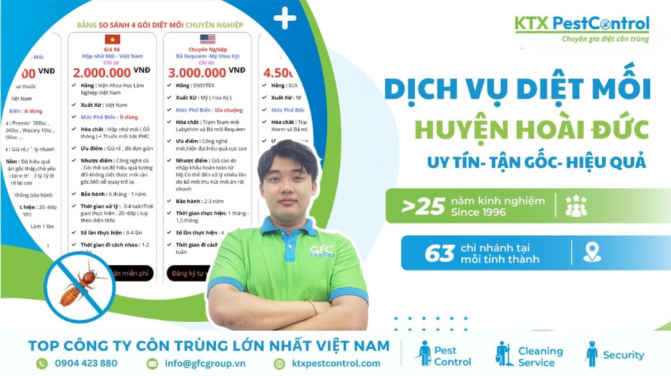 Dịch vụ diệt mối huyện Hoài Đức uy tín, tận gốc, hiệu quả
