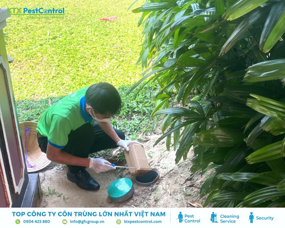 Nhân viên KTX Pest Control đang đặt hộp nhử mối ngoài trời để kiểm soát mối hiệu quả