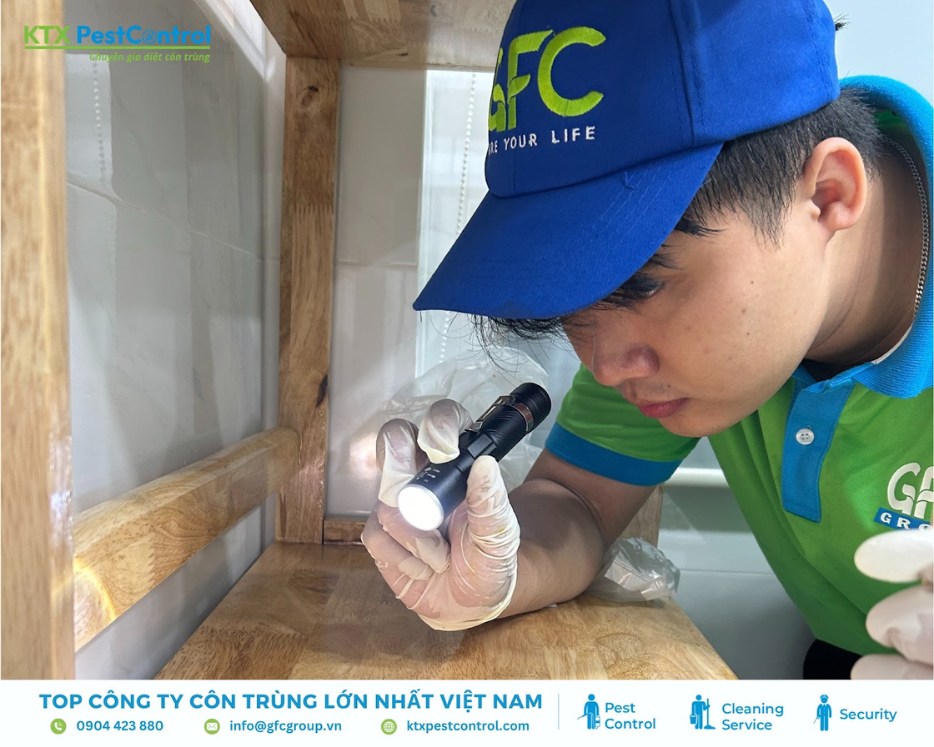 Chuyên viên KTX Pest Control soi đèn kiểm tra tổ mối ẩn dưới kệ gỗ tại nhà dân ở huyện Hoài Đức trong quá trình khảo sát diệt mối