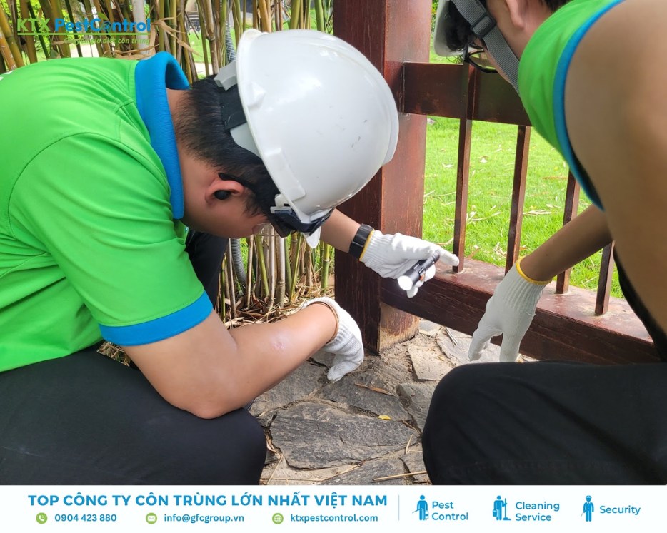 Kỹ thuật viên dịch vụ diệt mối huyện Hoài Đức đang kiểm tra dấu hiệu mối xâm nhập ở khu vực hàng rào gỗ ngoài trời