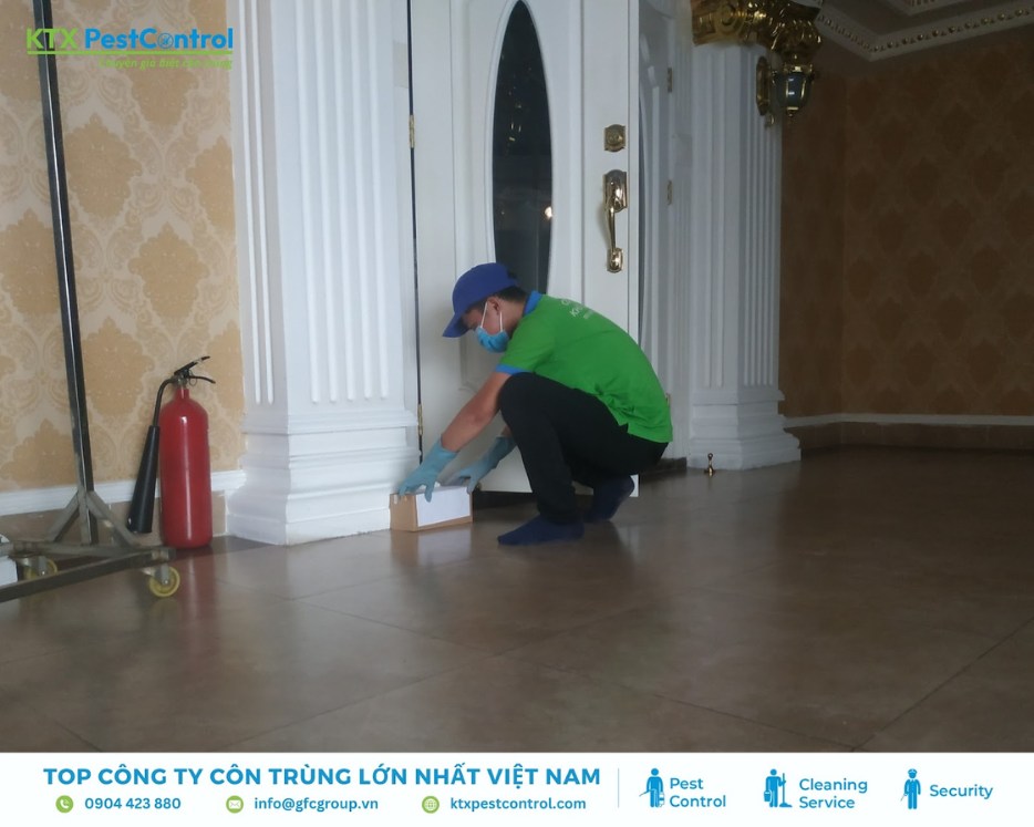 Kỹ thuật viên đang đặt hộp nhử mối tại biệt thự ở huyện Hoài Đức trong quá trình diệt mối chuyên nghiệp