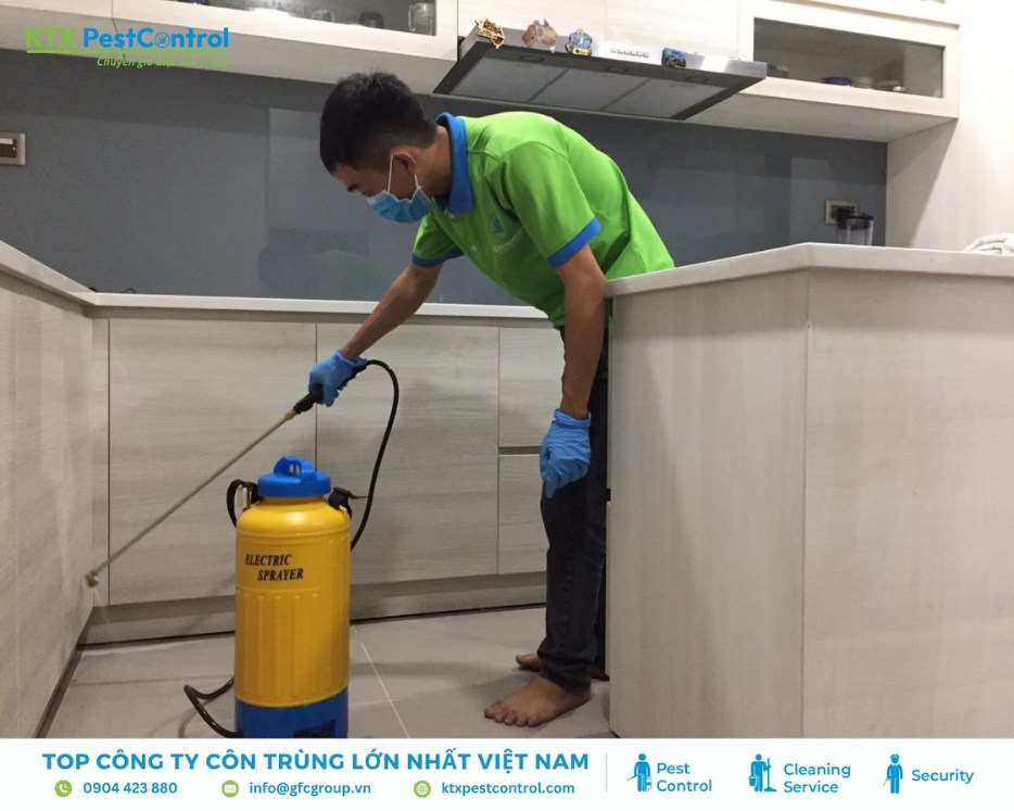 Nhân viên KTX Pest Control đang thực hiện dịch vụ diệt mối tại nhà ở huyện Hoài Đức với bình xịt chuyên dụng