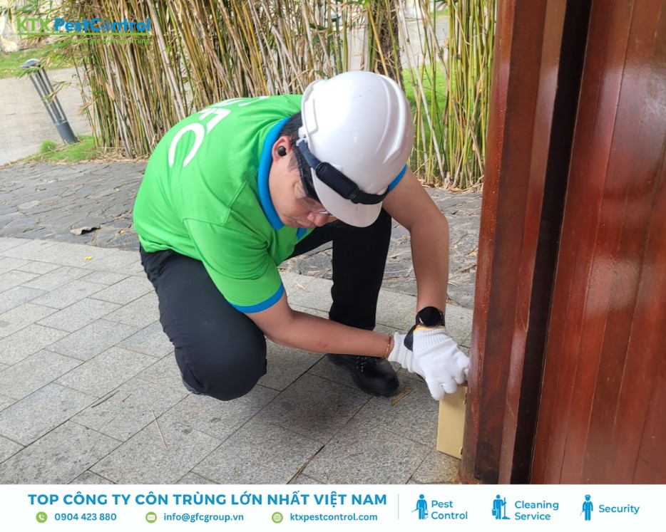 Kiểm soát mối ở cửa gỗ ngoài trời trong dịch vụ diệt mối huyện Thanh Oai