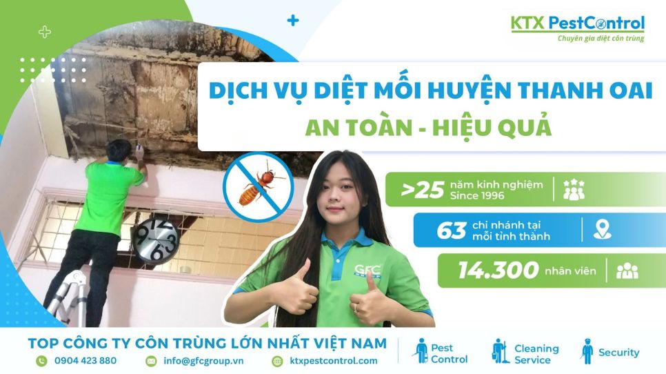 Dịch vụ diệt mối huyện Thanh Oai an toàn, hiệu quả