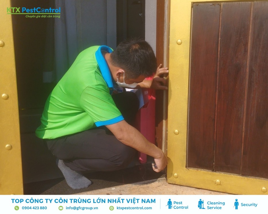 Nhân viên dịch vụ diệt mối huyện Thanh Oai xử lý mối tại chân cửa gỗ
