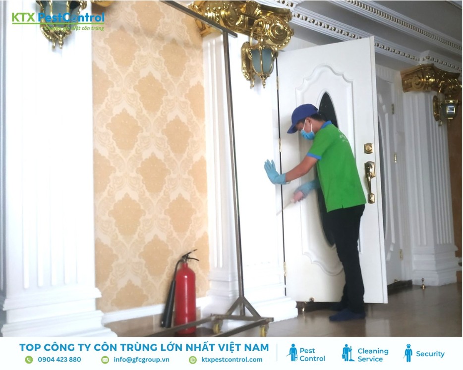 Nhân viên phun thuốc diệt mối tại nhà biệt thự huyện Thanh Oai.