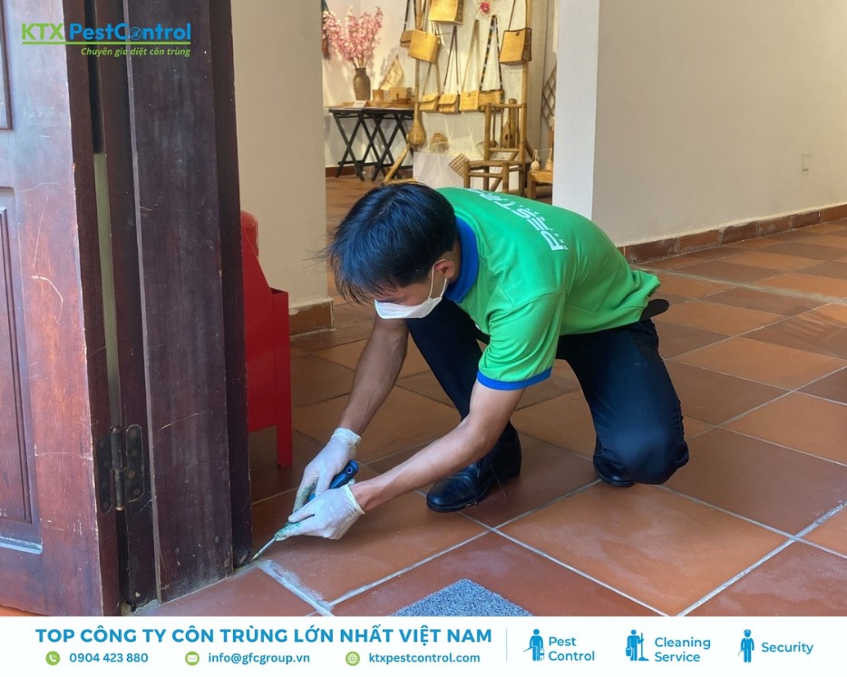 Nhân viên dịch vụ diệt mối huyện Thanh Oai kiểm tra mối ở khe cửa