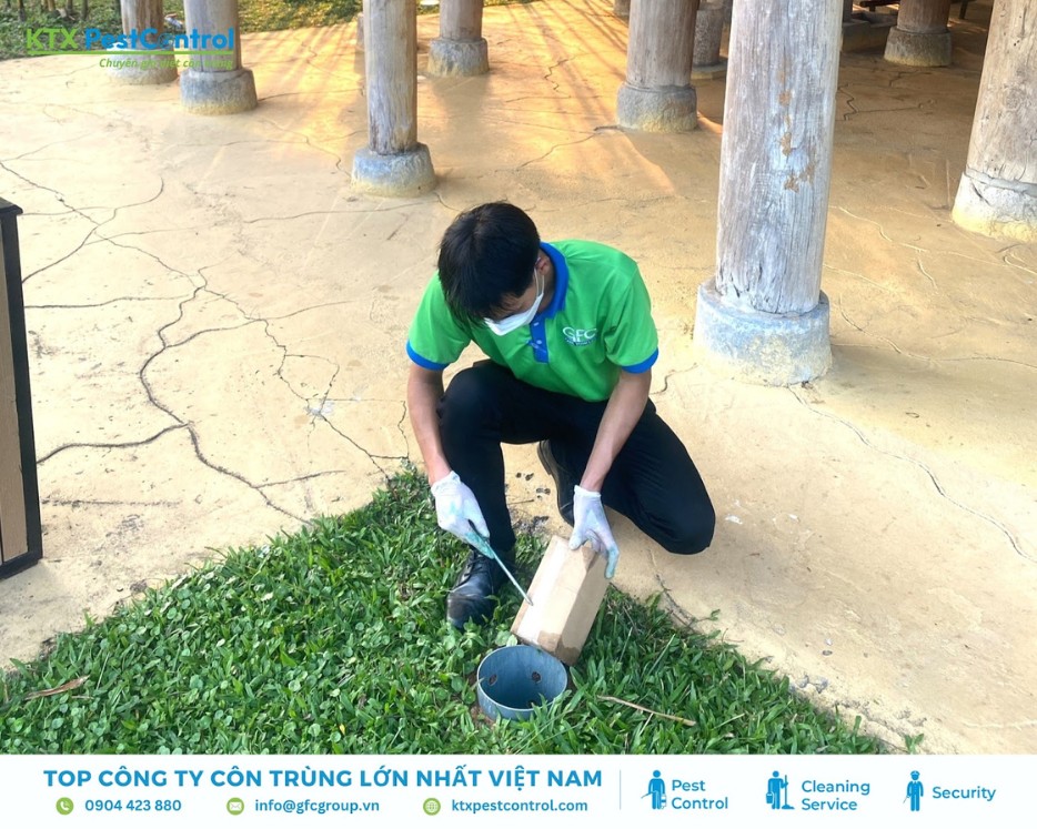 Đặt hộp nhử mối ngoài sân trong dịch vụ diệt mối Thanh Oai
