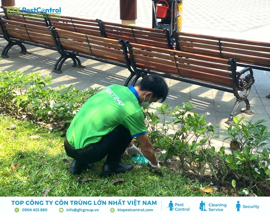 Nhân viên đặt hộp nhử mối ngoài công viên