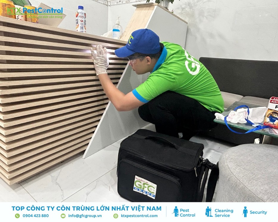 Kỹ thuật viên KTX Best Control kiểm tra mối trong nội thất gỗ