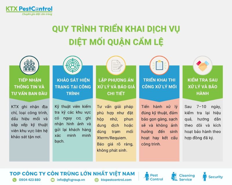 Quy trình diệt mối quận Cẩm Lệ chuẩn kỹ thuật