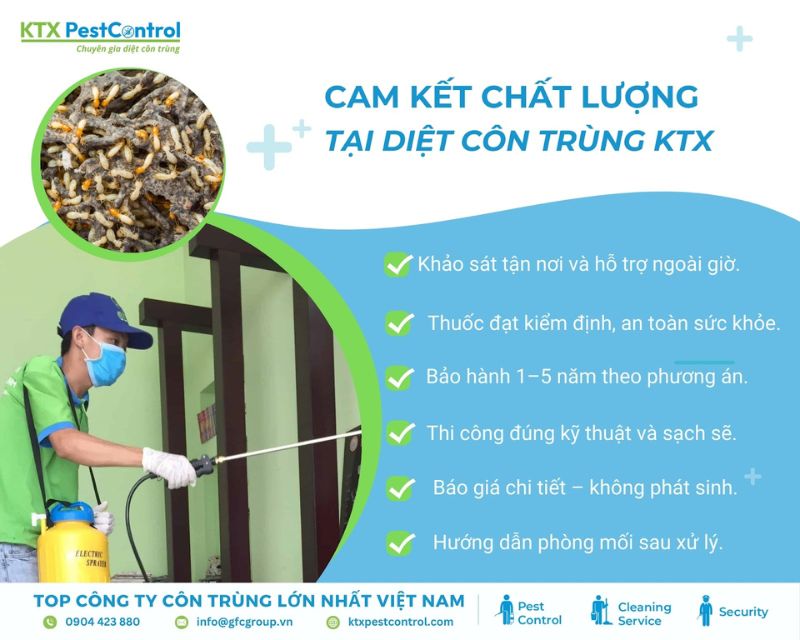 Cam kết dịch vụ diệt mối tại quận Cẩm Lệ an toàn