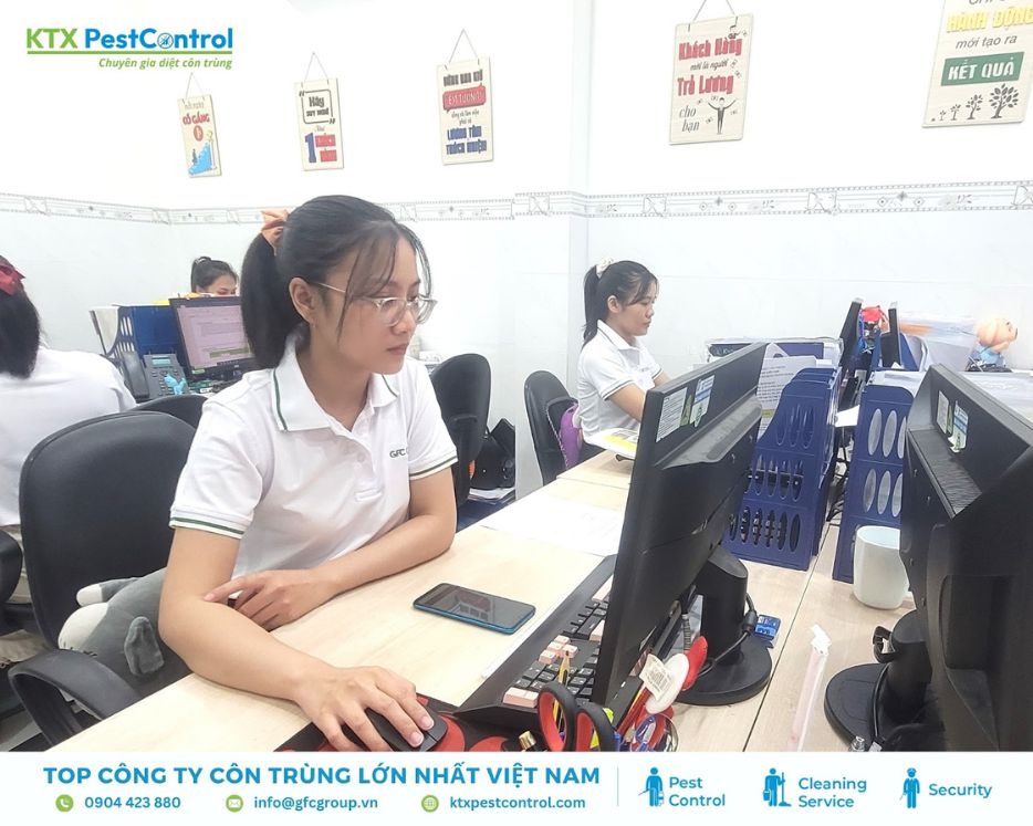 Tư vấn viên dịch vụ diệt mối quận Đống Đa tiếp nhận yêu cầu