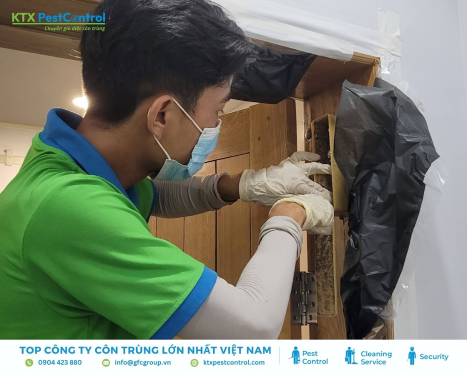 Nhân viên xử lý tổ mối bên trong khung cửa gỗ trong dịch vụ diệt mối quận Hai Bà Trưng