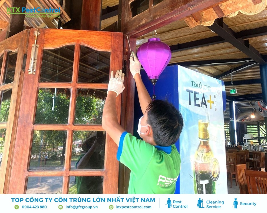 Nhân viên kiểm tra mối mọt trên khung cửa gỗ