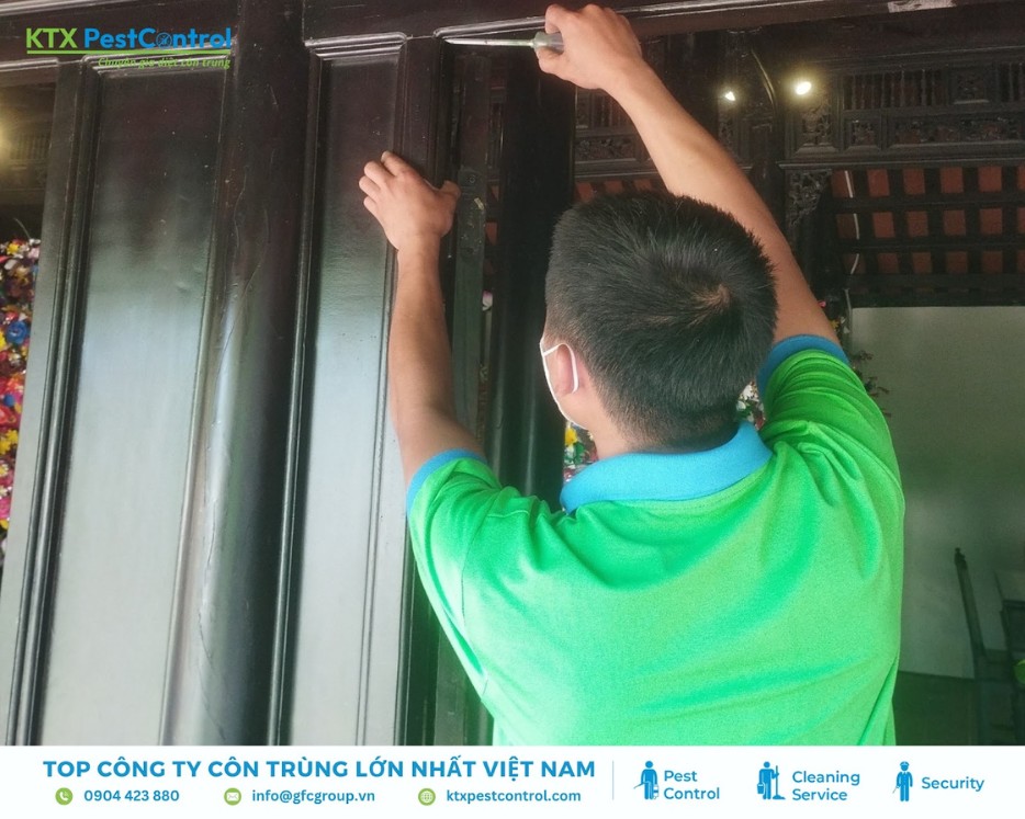 Nhân viên kiểm tra dấu hiệu mối trên cánh cửa gỗ trong dịch vụ diệt mối quận Hai Bà Trưng