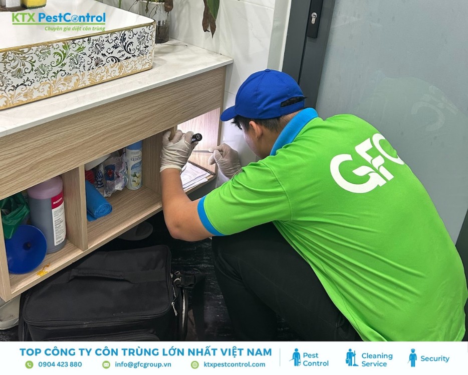 Kỹ thuật viên KTX Pest Control kiểm tra tổ mối dưới bồn rửa