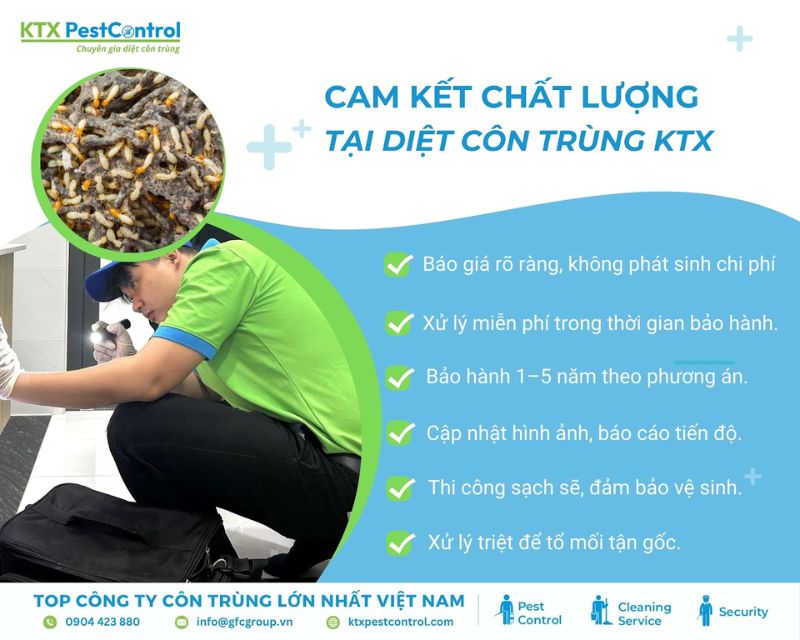 KTX cam kết diệt mối tận gốc tại quận Hải Châu