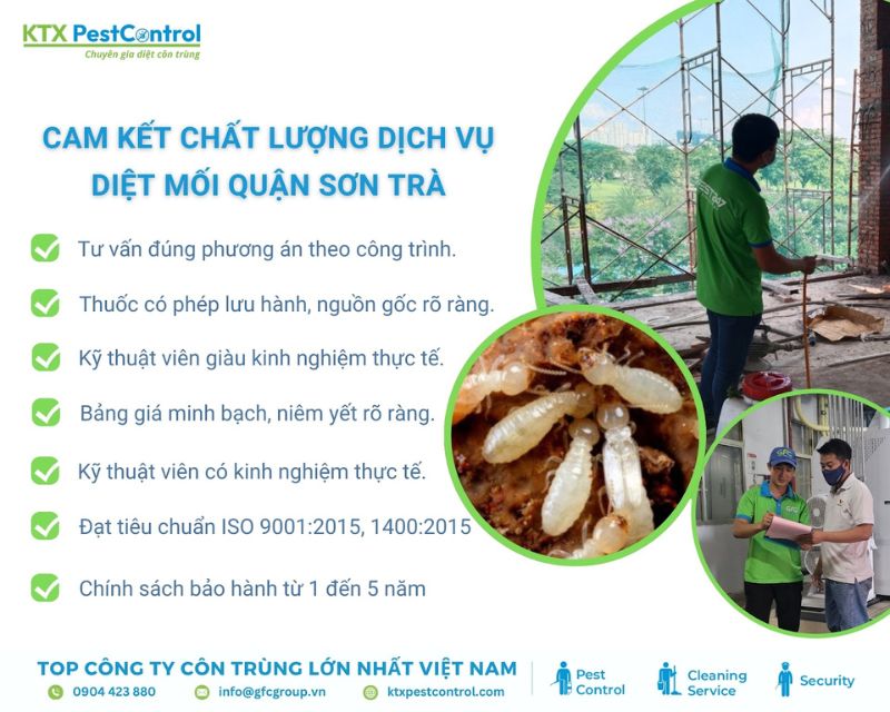 KTX cam kết diệt mối quận Sơn Trà hiệu quả