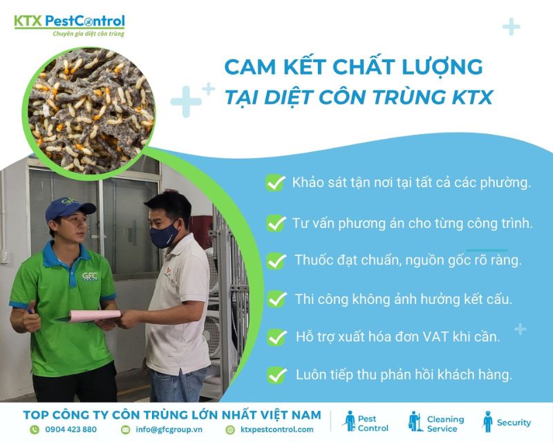 KTX cam kết diệt mối quận Thanh Khê an toàn