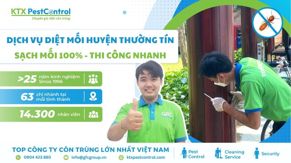 Dịch vụ diệt mối Thường Tín sạch mối 100%, thi công nhanh