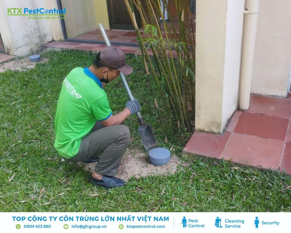 Đặt hộp nhử mối ngoài sân tại Thường Tín