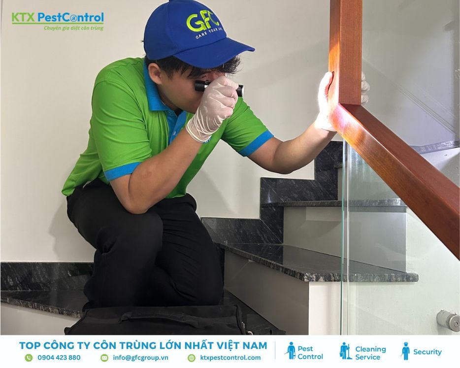 Khảo sát mối tại tay vịn cầu thang nhà dân ở Thường Tín