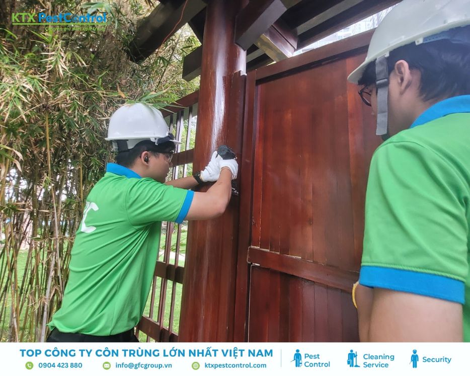 kỹ thuật viên dịch vụ diệt mối Thường Tín kiểm tra cột gỗ ngoài trời