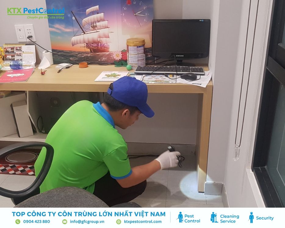 Kiểm tra mối trong khu vực bàn làm việc trong dịch vụ diệt mối Thường Tín