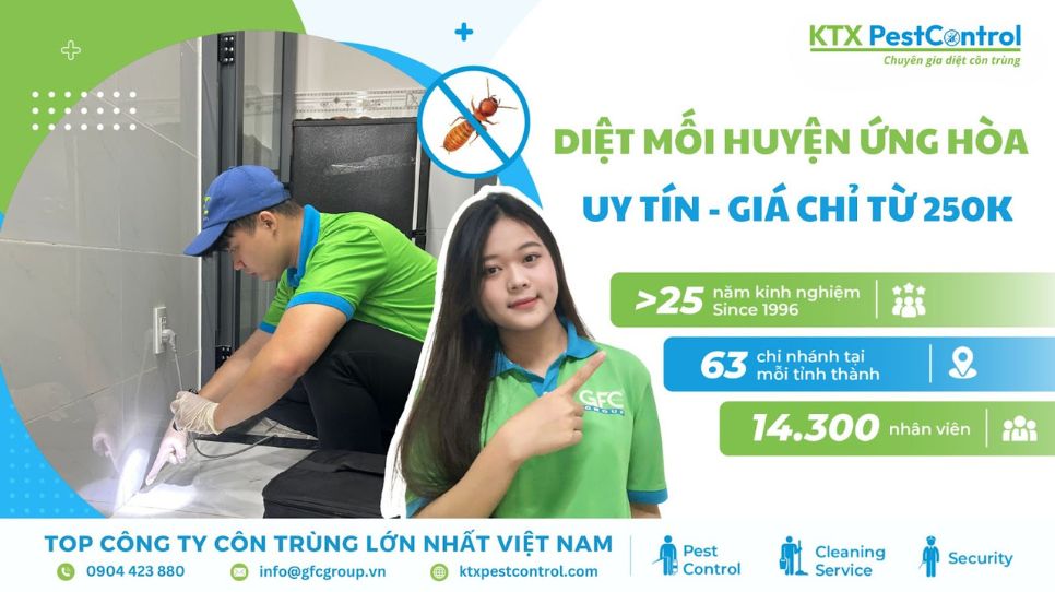 Diệt mối huyện Ứng Hòa uy tín, giá chỉ từ 250K