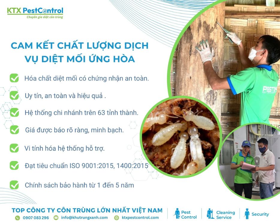 KTX cam kết dịch vụ diệt mối huyện Ứng Hòa an toàn, chuẩn quy trình, bảo hành rõ ràng