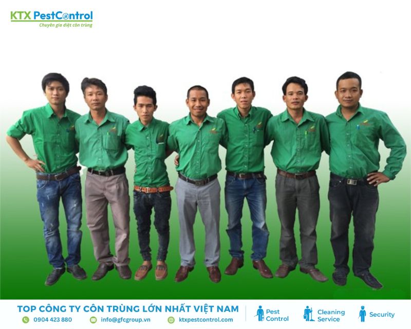 Công ty dịch vụ diệt mối hcm đường Phạm Văn Đồng - Trần Anh